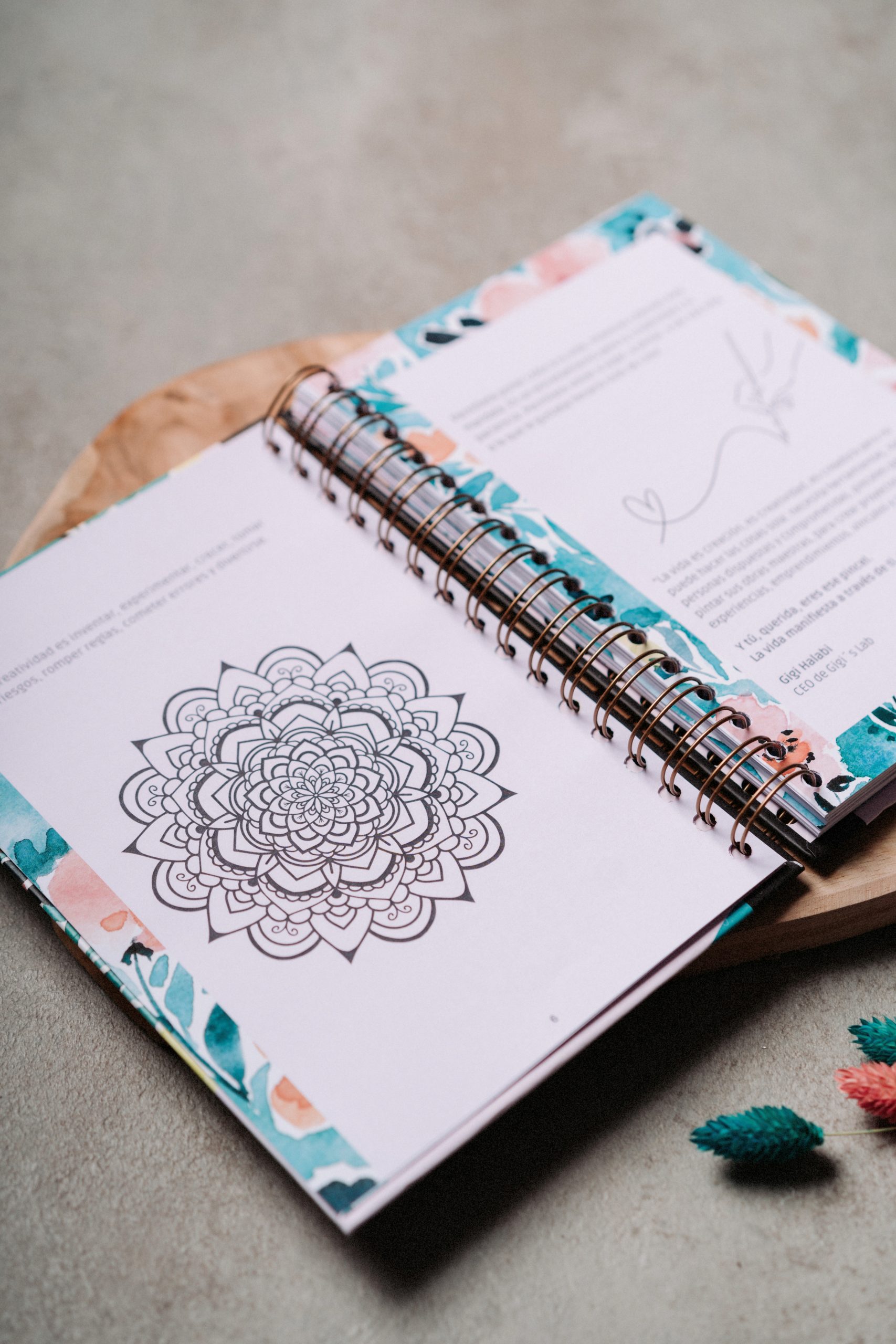 womenshealthcenter-42 Diario de gratitud